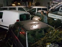 AMIR ÇIÇEK - Muğla Valisi'nden Bodrum açıklaması