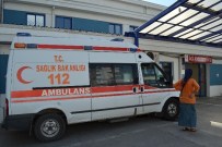 ŞIRINEVLER - Acemi Kasaplar