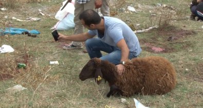 İstanbul'dan Kurban Manzaraları