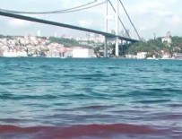 Kurban kanları yine İstanbul Boğazı'na aktı