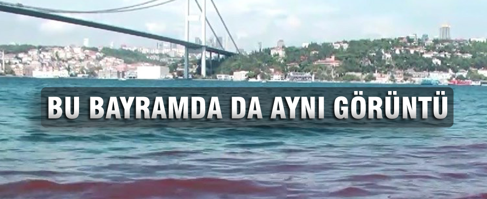 Kurban kanları yine İstanbul Boğazı'na aktı