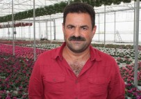 İHRACAT RAKAMLARI - Çiçek Üreticileri Artık Bir Birine Rakip Değil