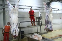 SOLAKLAR - Yedi Mezbahanede Kurbanlar Kesildi