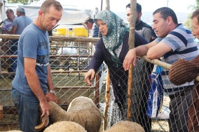 Tekirdağ'da Küçükbaş Kurbanlıkların Fiyatı Arttı