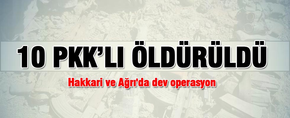 Hakkari ve Ağrı'da 10 PKK'lı öldürüldü