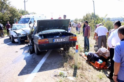 Kocaeli'de Köy Yolunda Feci Kaza Açıklaması 10 Yaralı