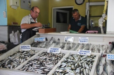 Balık Fiyatlarında Beklenen Düşüş Yaşanmıyor