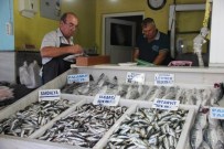 BALIK FİYATLARI - Balık Fiyatlarında Beklenen Düşüş Yaşanmıyor