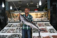 KILIÇBALIĞI - Marmaris'te 'Kılıçlar' Çekildi