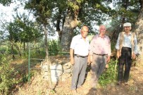 İSMAIL ÇELIK - Osmanlı Şehitlerinin Bedenleri İlk Günkü Gibi Duruyor