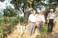 İSMAIL ÇELIK - Şehitlerin Naaşları Sapasağlam !