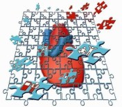 SAĞLIKSIZ BESLENME - Türkiye'de Her 5 Kişiden 2'Si Kalp Yüzünden Ölüyor