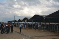 KURBANLIK HAYVAN - Efeler Belediyesi Arttırdığı Tedbirlerle Bayramın Huzur İçinde Geçmesini Sağladı