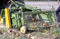 Kastamonu'da Patates Tarla Günü Düzenlendi