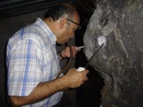 ŞARK ÇıBANı - Antalya'da Şark Çıbanı Vakalarıyla Mücadele Çalışmaları