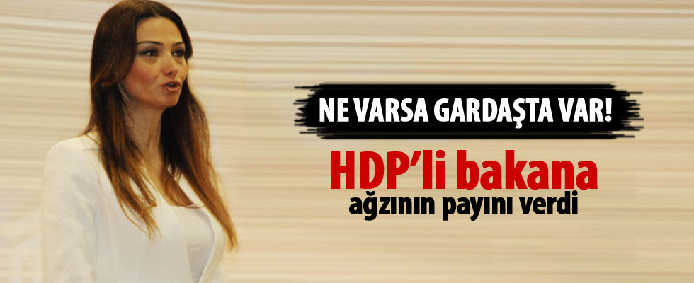 Azeri vekilden HDP'li bakan'a tokat gibi sözler
