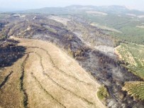 BURSA VALİLİĞİ - Bakan Müezzinoğlu, Mudanya'daki Ormanlık Alanın Yeniden Canlandırılacağını Açıkladı