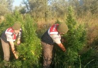 Bursa'da Uyuşturucu Operasyonu