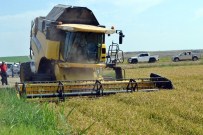 EYYUP ÖZDEMİR - Çeltik Diyarı İpsala'da Hasat Dualarla Başladı