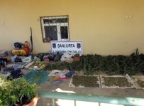 Şanlıurfa'da Kaçak Sigara Ve Esrar Operasyonu