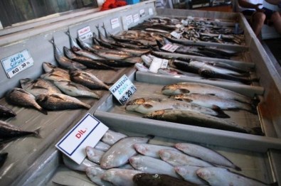 Ticari Amaçlı Su Ürünleri Avcılığını Düzenleyen Tebliğ Yayınlandı