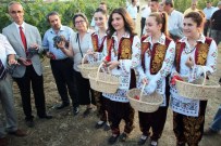 MEHMET SAĞLAM - Türkiye Asma Genetik Kaynakları Projesinin 50. Yılı