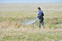 SARI HUMMA - Tuşba Belediyesi'nden Sivrisinek Ve Haşereyle Mücadele Çalışması