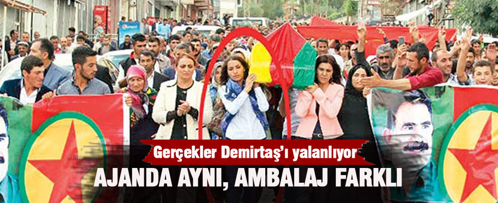 Gerçekler Demirtaş'ı yalanlıyor