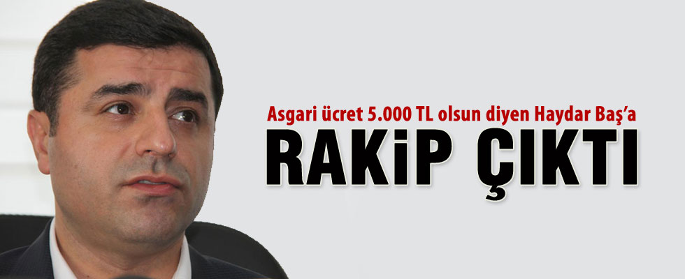 HDP'nin 1 Kasım vaatleri