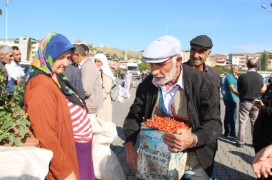 Kuşburnu Tavan Yaptı