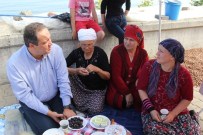 KERIM AKSU - Başkan Aksu, Fındık Üreticilerini Ziyaret Etti