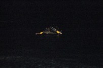 AKYARLAR - Bu Sefer Kaçamadılar