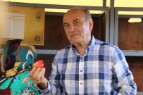 CEP OTOGARI - İstanbul'a 6 Yeni Otogar