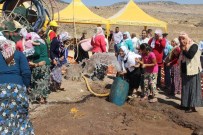 BALLıK - Kadınların Su Sevinci