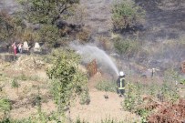 Kastamonu'da Anız Yangını