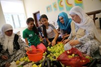 DOLMALIK BİBER - Kurutmalık Kültürü Gençlere Aktarılıyor