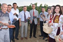 MEHMET SAĞLAM - Trakya Bağ Bozumu Ve Ekoloji Festivali Tekirdağ'da Başladı
