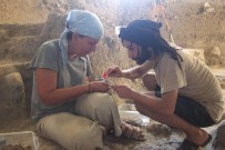 TAŞ DEVRI - Ulucak Höyük Kazılarında TÜ Öğretim Üyesi Doç. Dr.  Çevik De Yer Alıyor