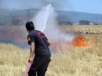 Yangınların Yüzde 36'Sı İzmaritten Çıktı