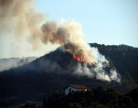 Çeşme'de Ormanlık Alanda Yangın