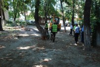 Çevre Düzenlemesi Ağaçların Kesilmesine Neden Oldu