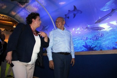 CHP'li Çakırözer Açıklaması 'Hayalimizde Eskişehir Gibi Bir Türkiye Var'