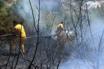 AHMET DEMİR - Çöpleri Yakmak İsterken Ormanı Yaktılar