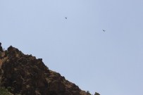 DURANKAYA - Hakkari- Çukurca Güzerhagında Yoğun Hava Hareketliliği