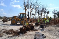 KUTBETTIN ARZU - EXPO Antalya Alanına Türkiye Ormanı Kurulacak