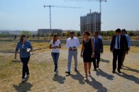 TURGAY ŞIRIN - Irlamaz'a Hayat Verecek Proje Geliyor