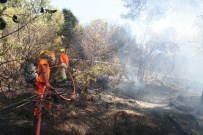 Lüks Villalarda Orman Yangını Paniği