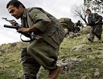 PKK'nın 4 ayaklı planı bozguna uğradı