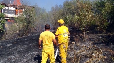 Ulus'ta 2 Noktada Orman Yangını Çıktı