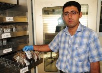 İBRAHIM ÇELIK - Bölgenin Kan İhtiyacı Batı İllerinden